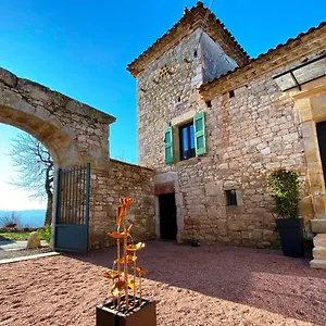 Domaine De Lejos - Portes D'albi , Lamillarié France